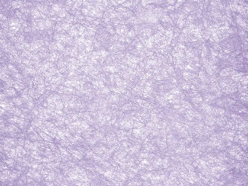 Stropna meka folija s umjetničkim tiskom Stropna meka folija s umjetničkim tiskom